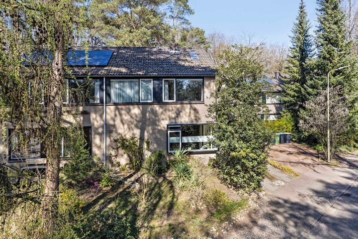 Foto 2 van Lindenoord 36