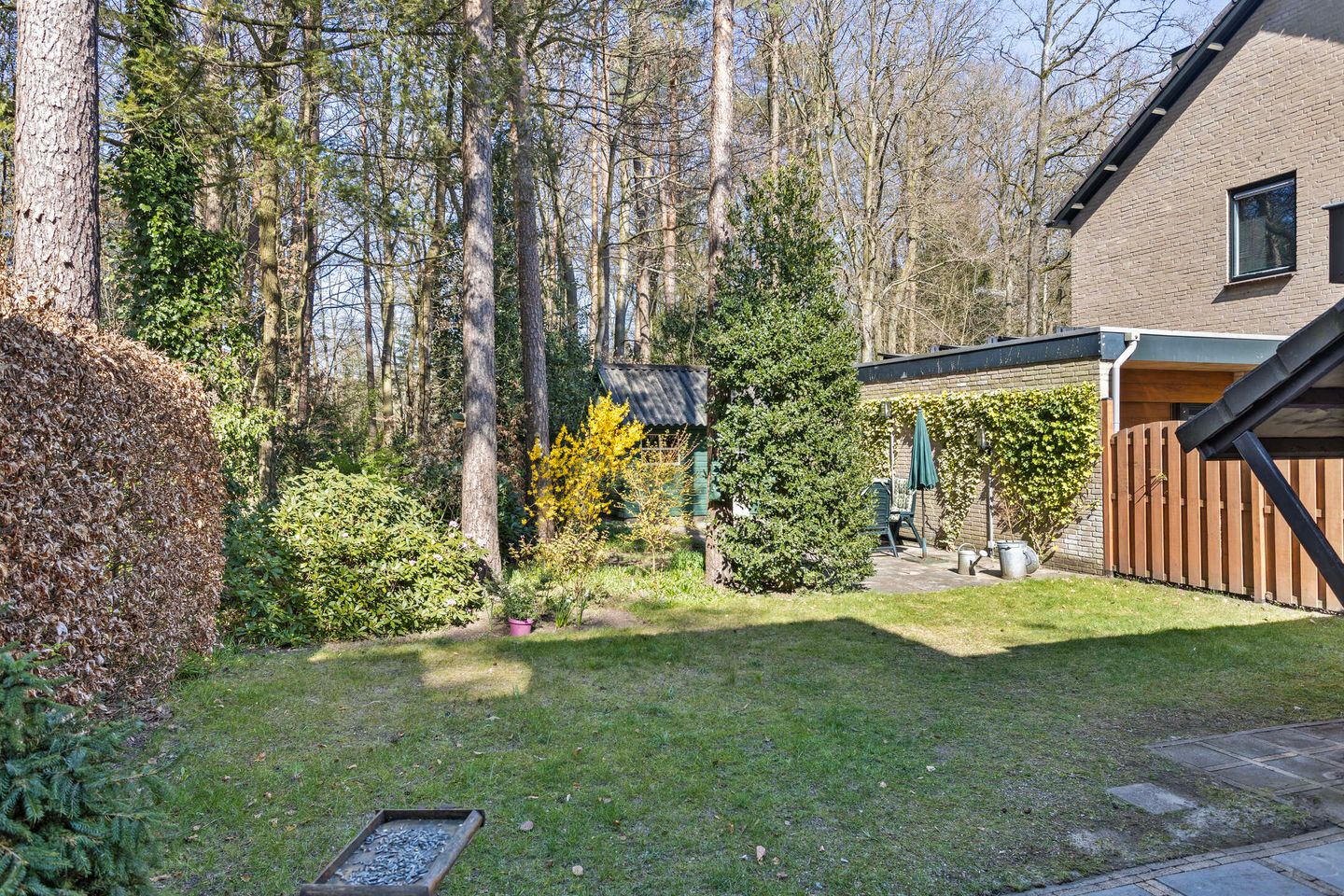 Foto 34 van Lindenoord 36