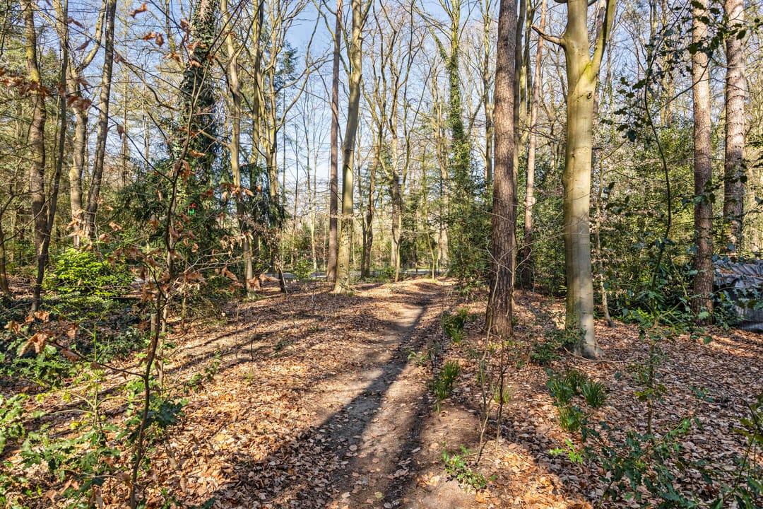 Foto 38 van Lindenoord 36