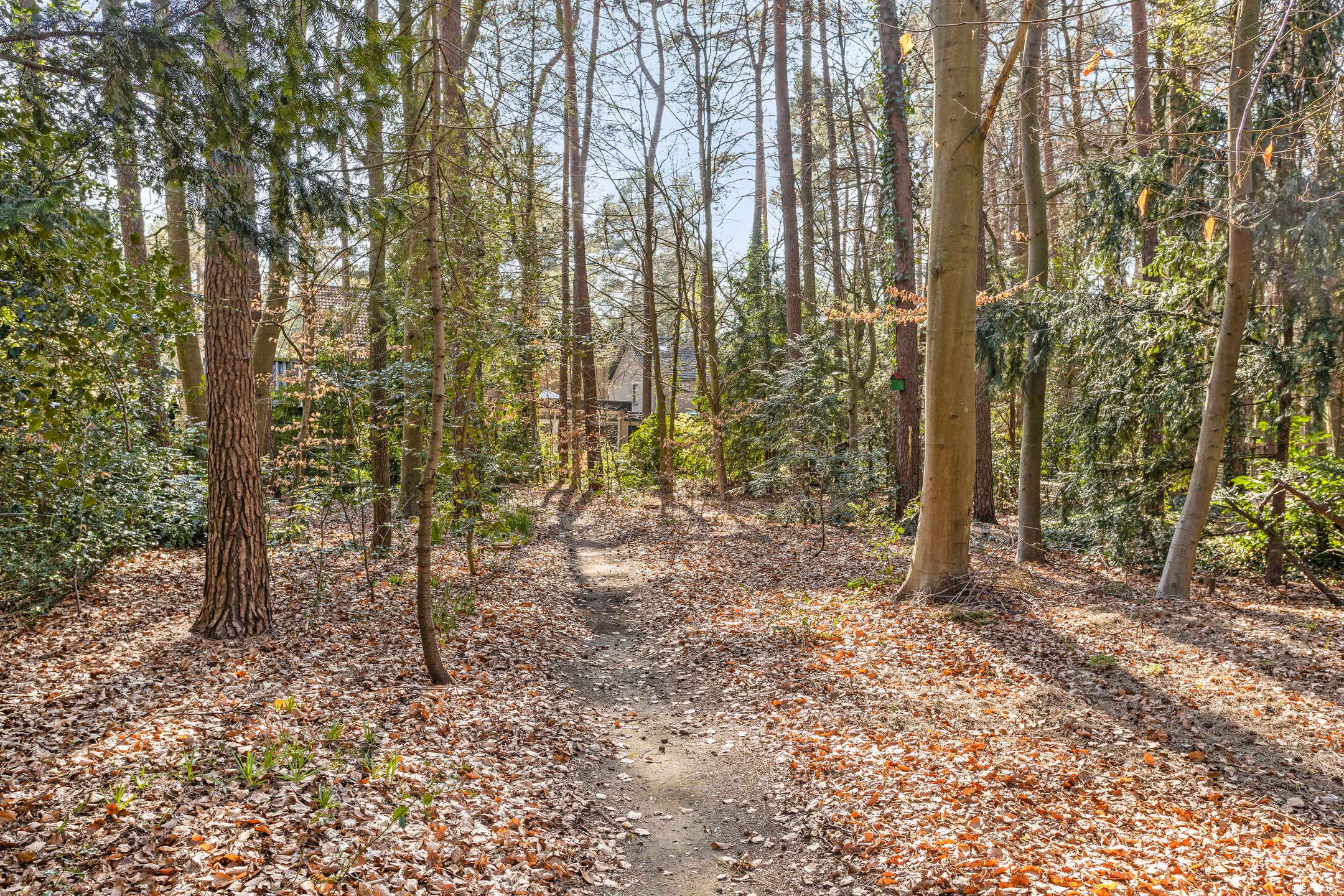 Foto 39 van Lindenoord 36