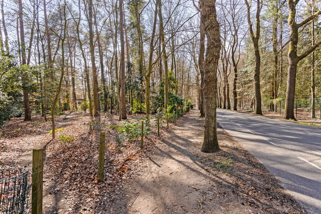 Foto 41 van Lindenoord 36