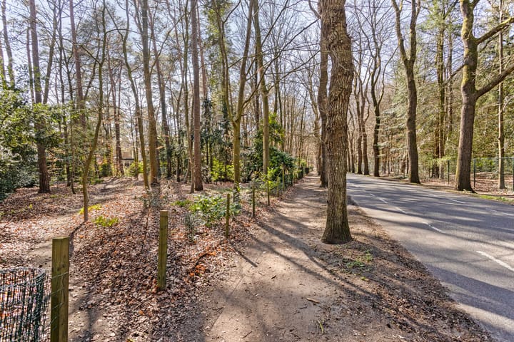 Foto 41 van Lindenoord 36