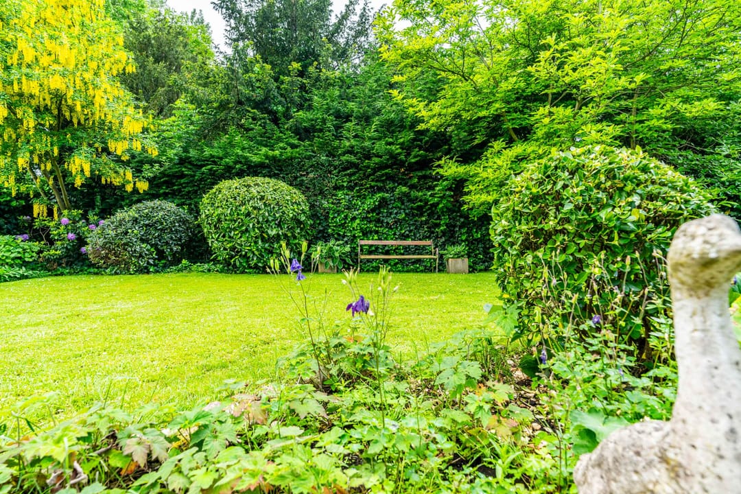 Foto 16 van Nassaulaan 142