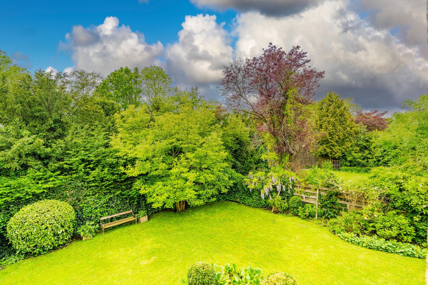 Foto 50 van Nassaulaan 142