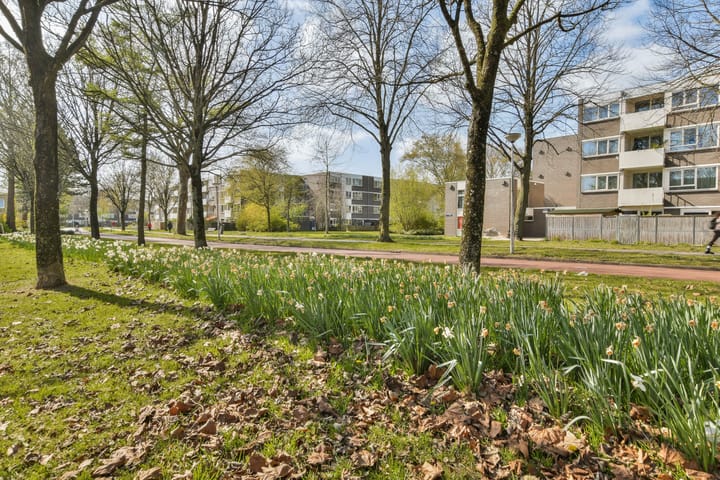 Foto 24 van Randwijkhof 16