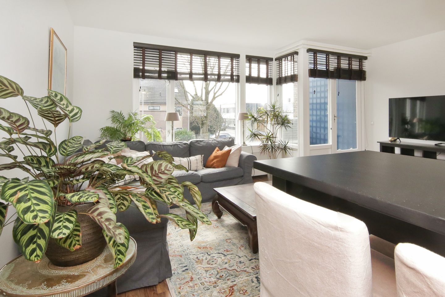 Photo 10 of Vrije Geer 17