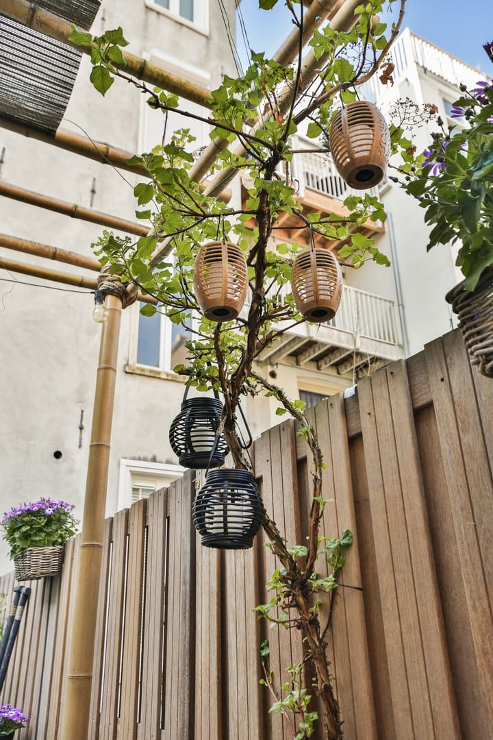 Photo 25 of Saenredamstraat 59-BH