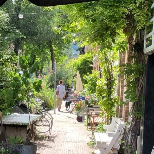 Photo 33 of Saenredamstraat 59-BH