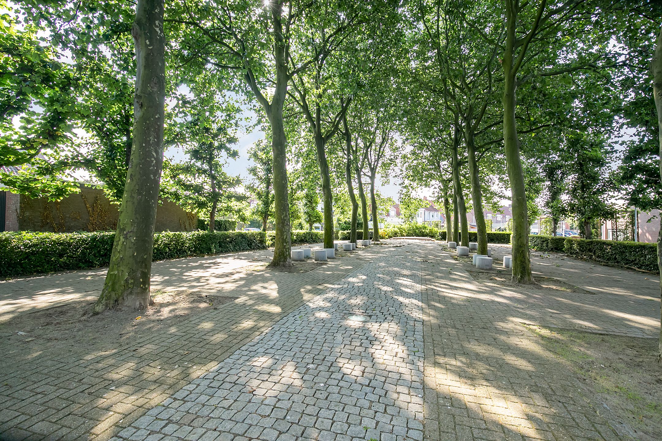 Photo 72 of Korte Kerkstraat 22