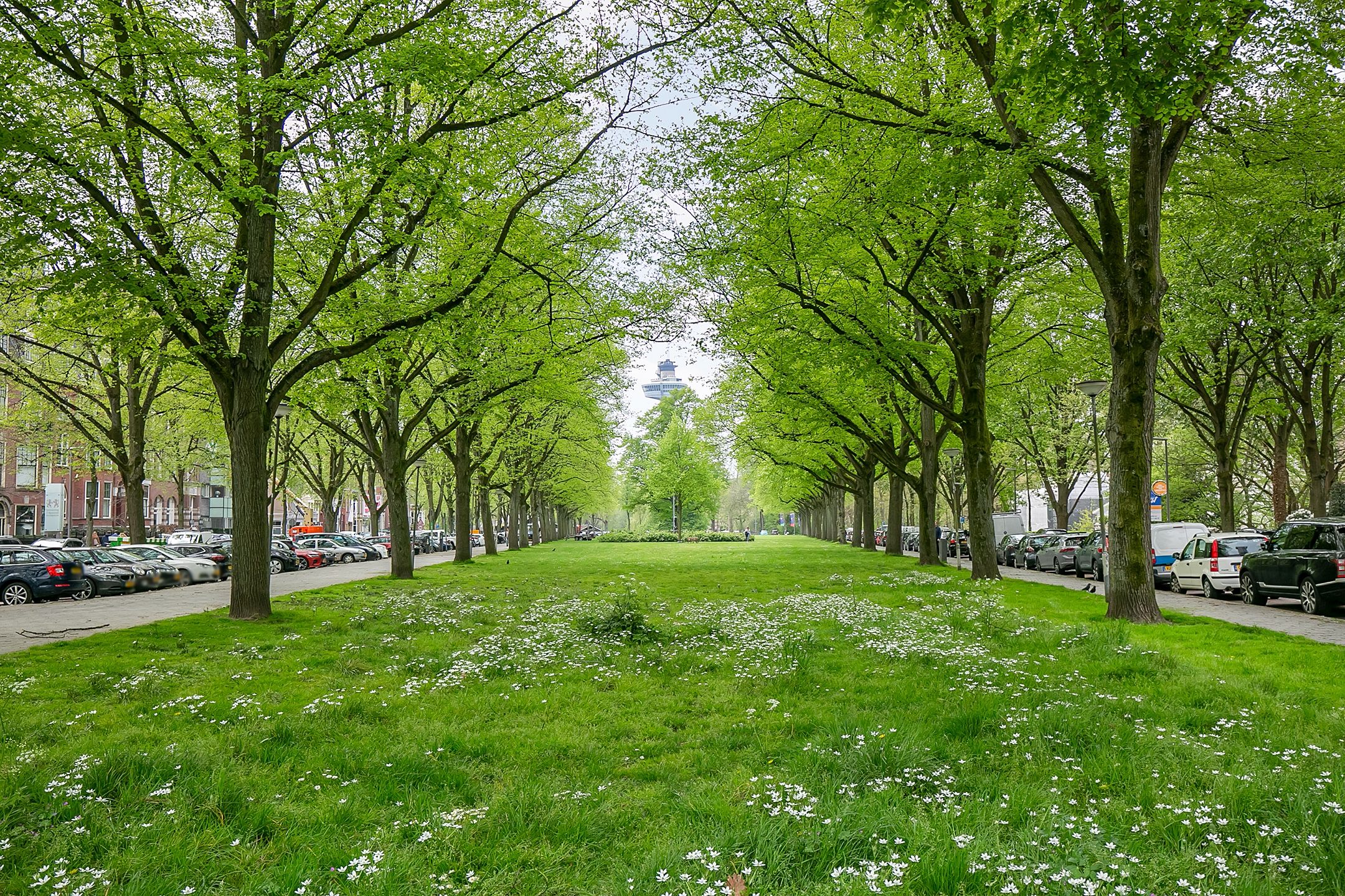 Foto 15 van Calandstraat 7-T