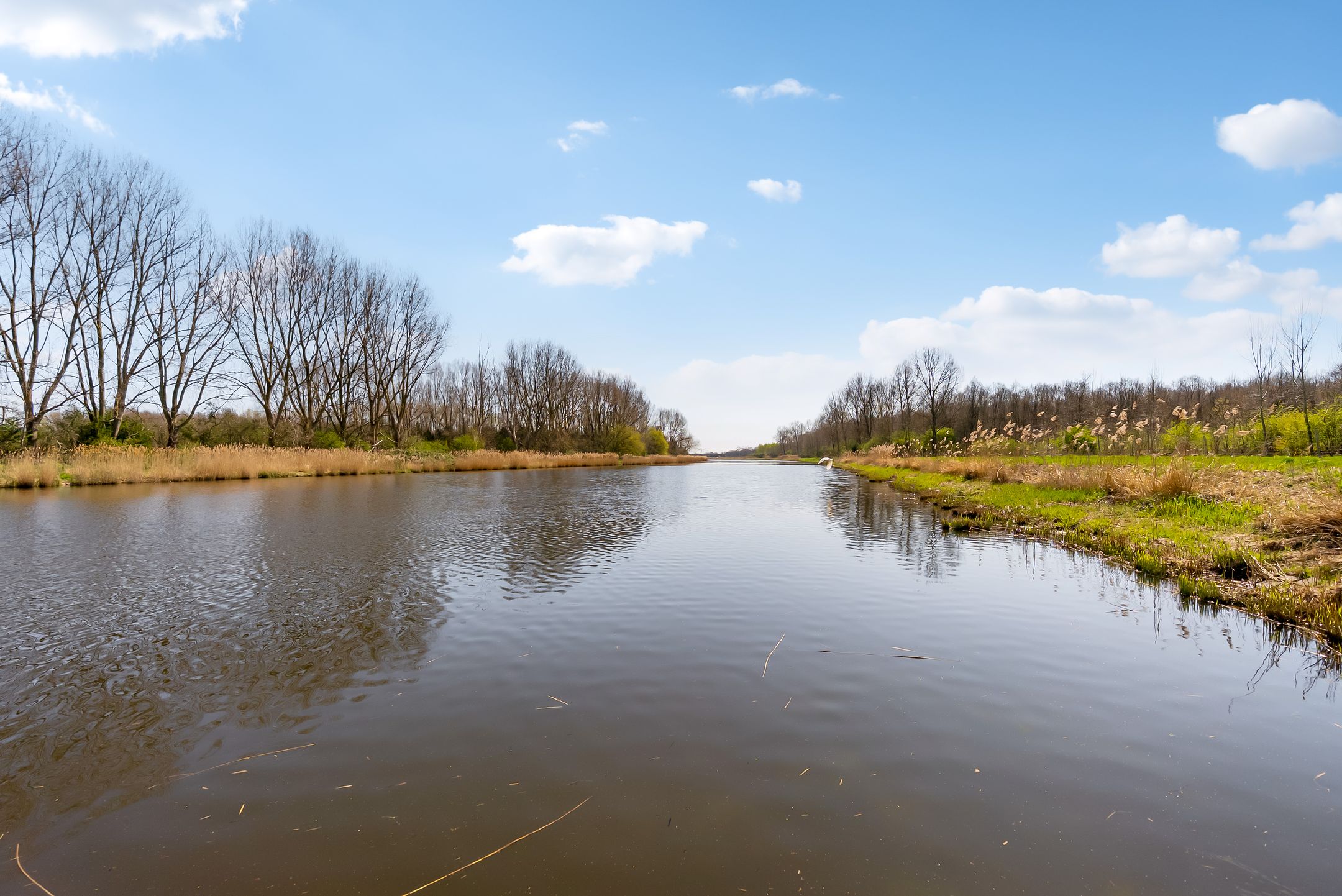 Foto 69 van Buitenplaats Oosterwold 108