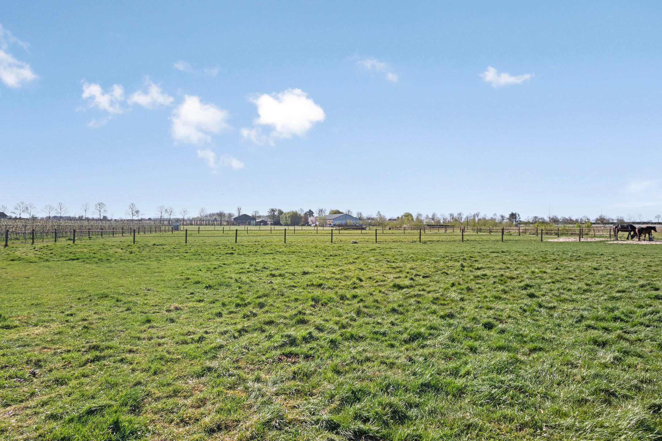 Foto 24 van H.C. de Jonghweg 23