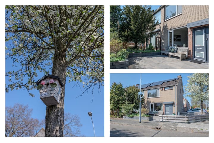 Foto 2 van Distelstraat 1