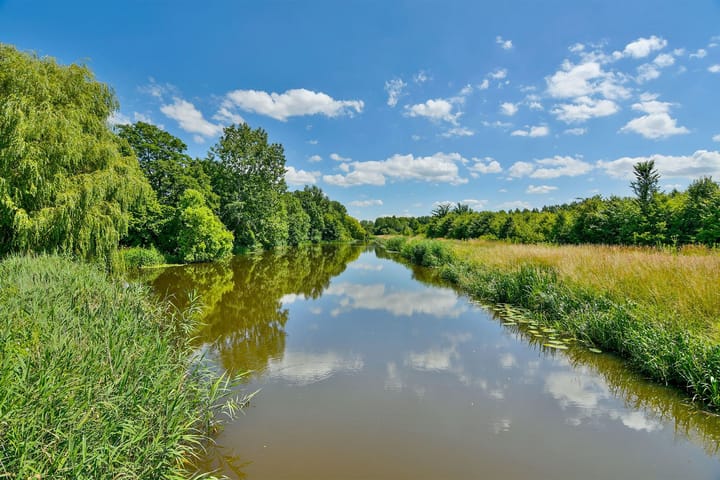 Foto 49 van Distelstraat 1