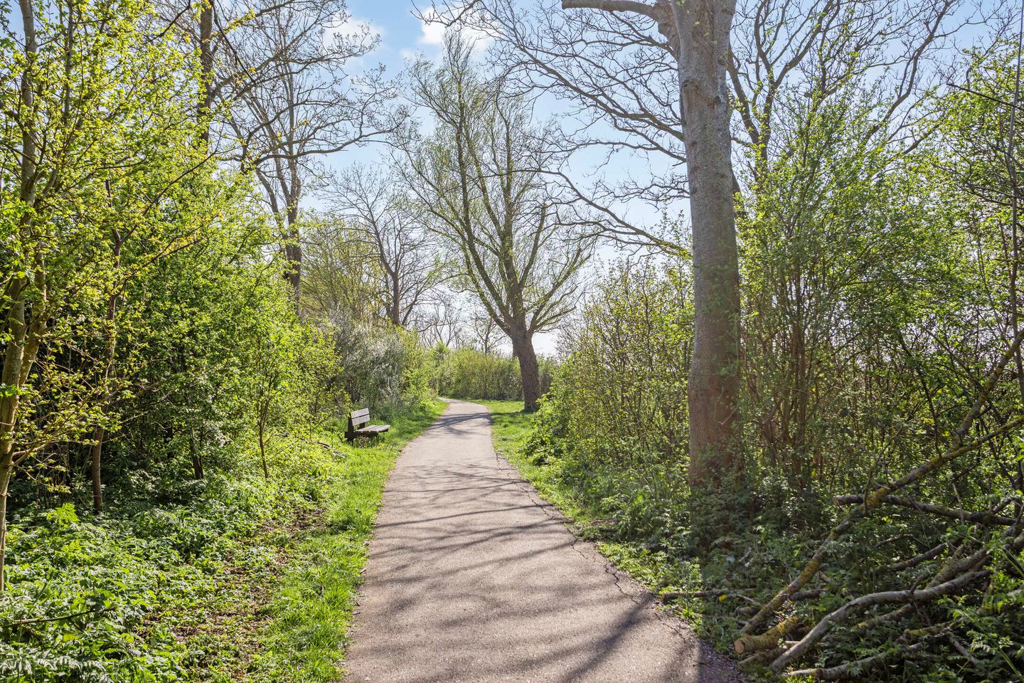 Foto 35 van Kokmeeuwstraat 57