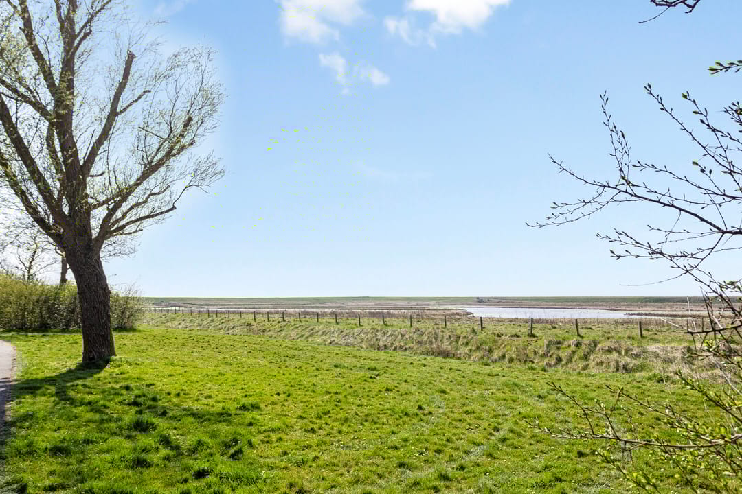 Foto 37 van Kokmeeuwstraat 57