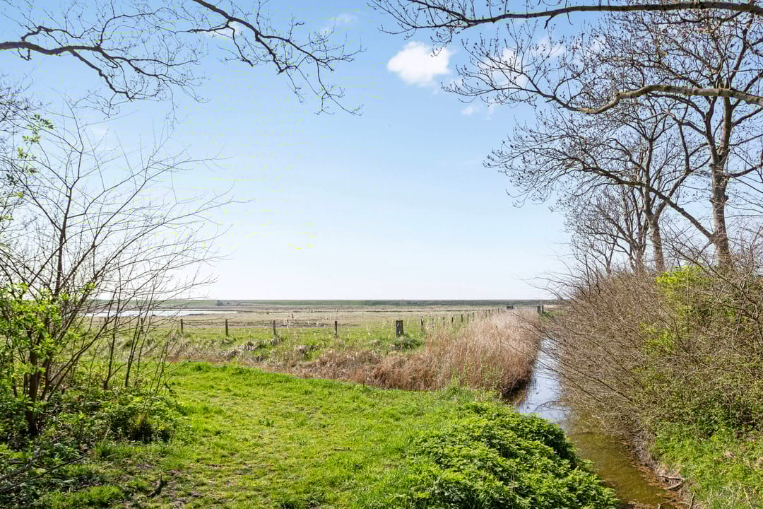 Foto 38 van Kokmeeuwstraat 57