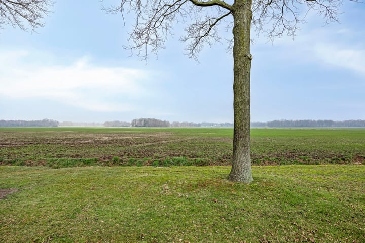 Foto 6 van Leegemaad 12