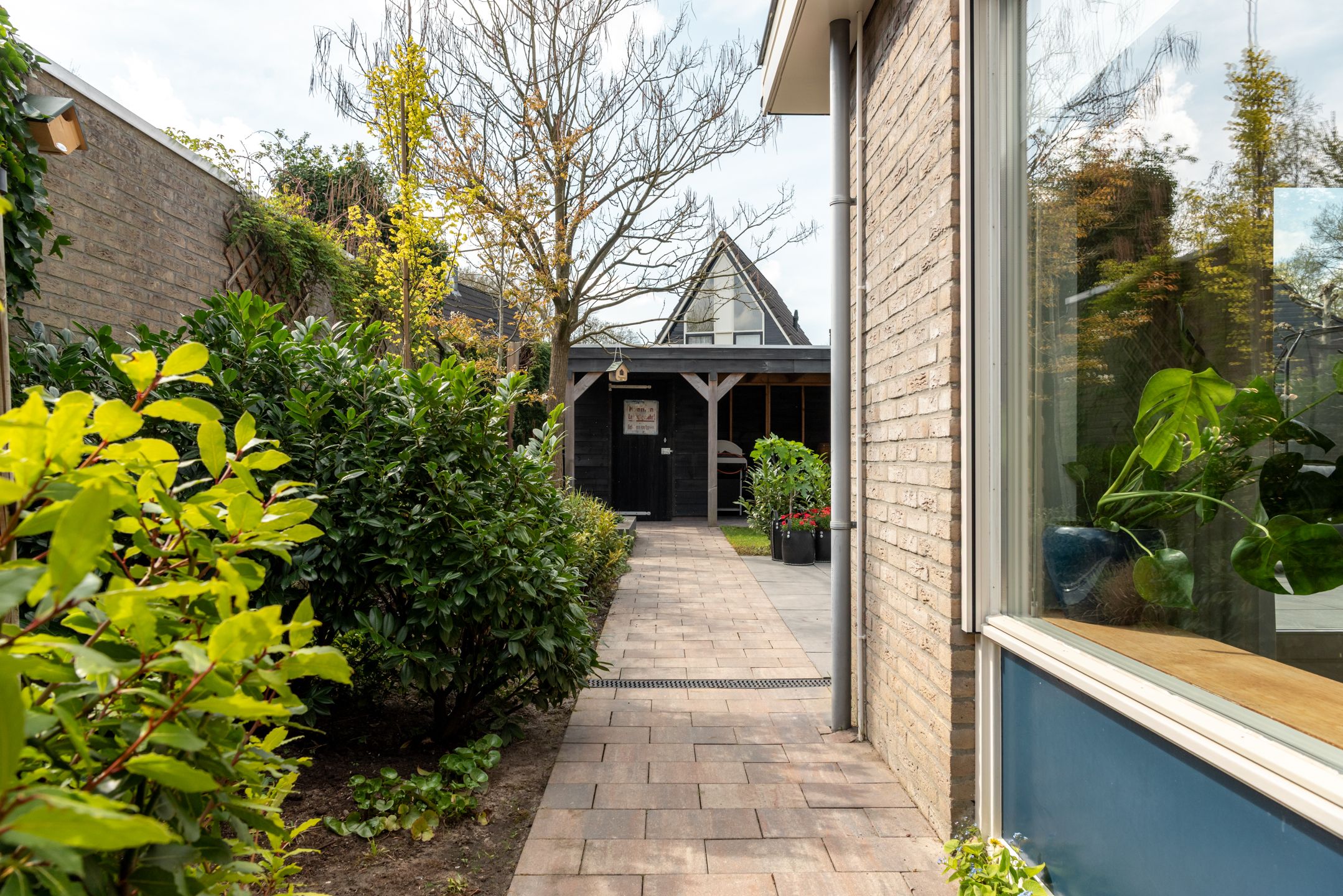 Foto 15 van Wispel 3