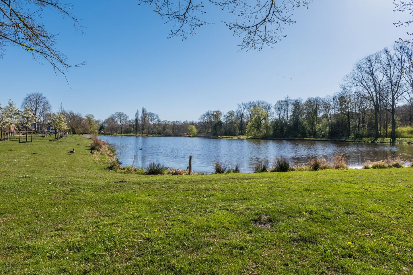 Foto 34 van G. W. Spitzenstraat 23