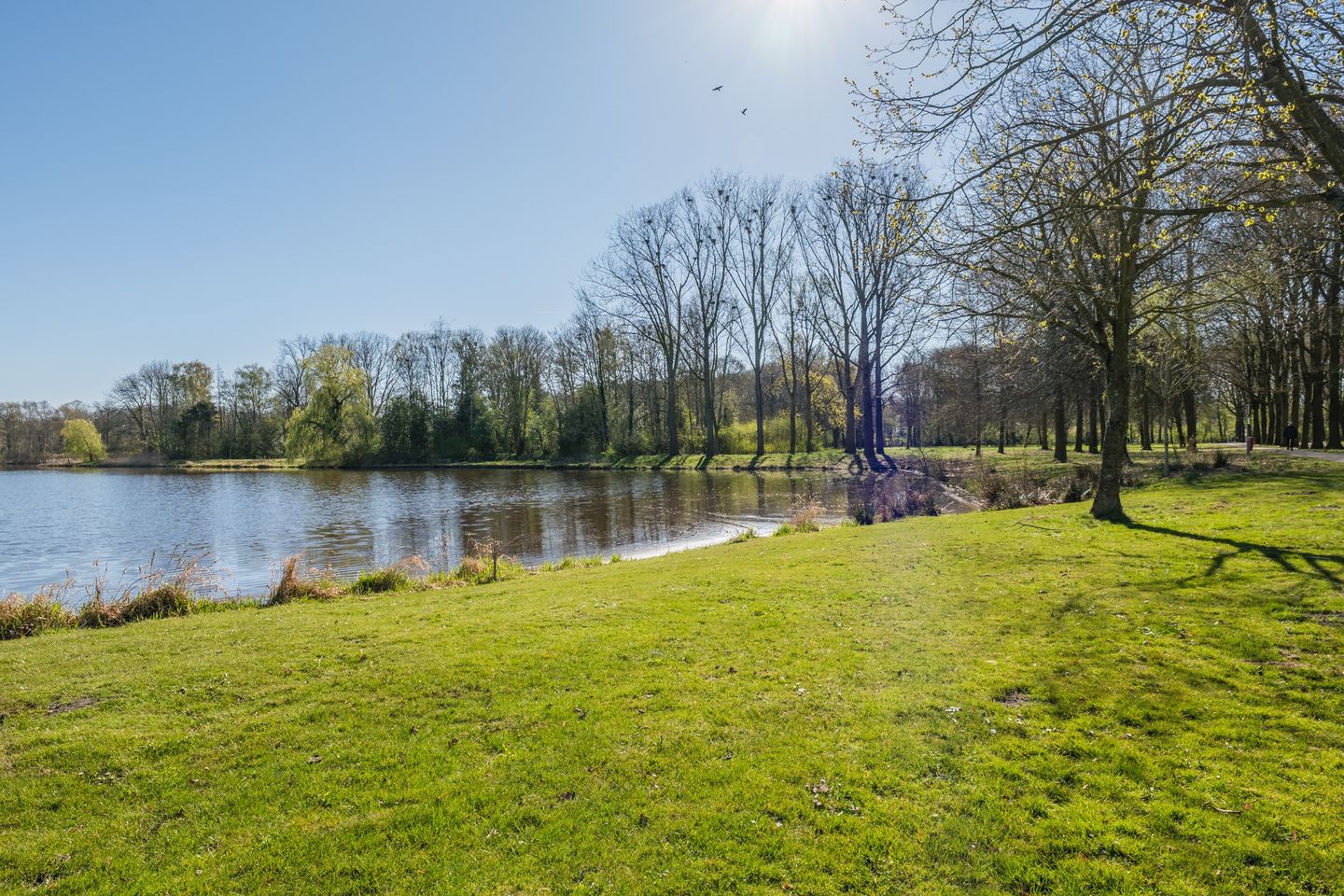 Foto 35 van G. W. Spitzenstraat 23