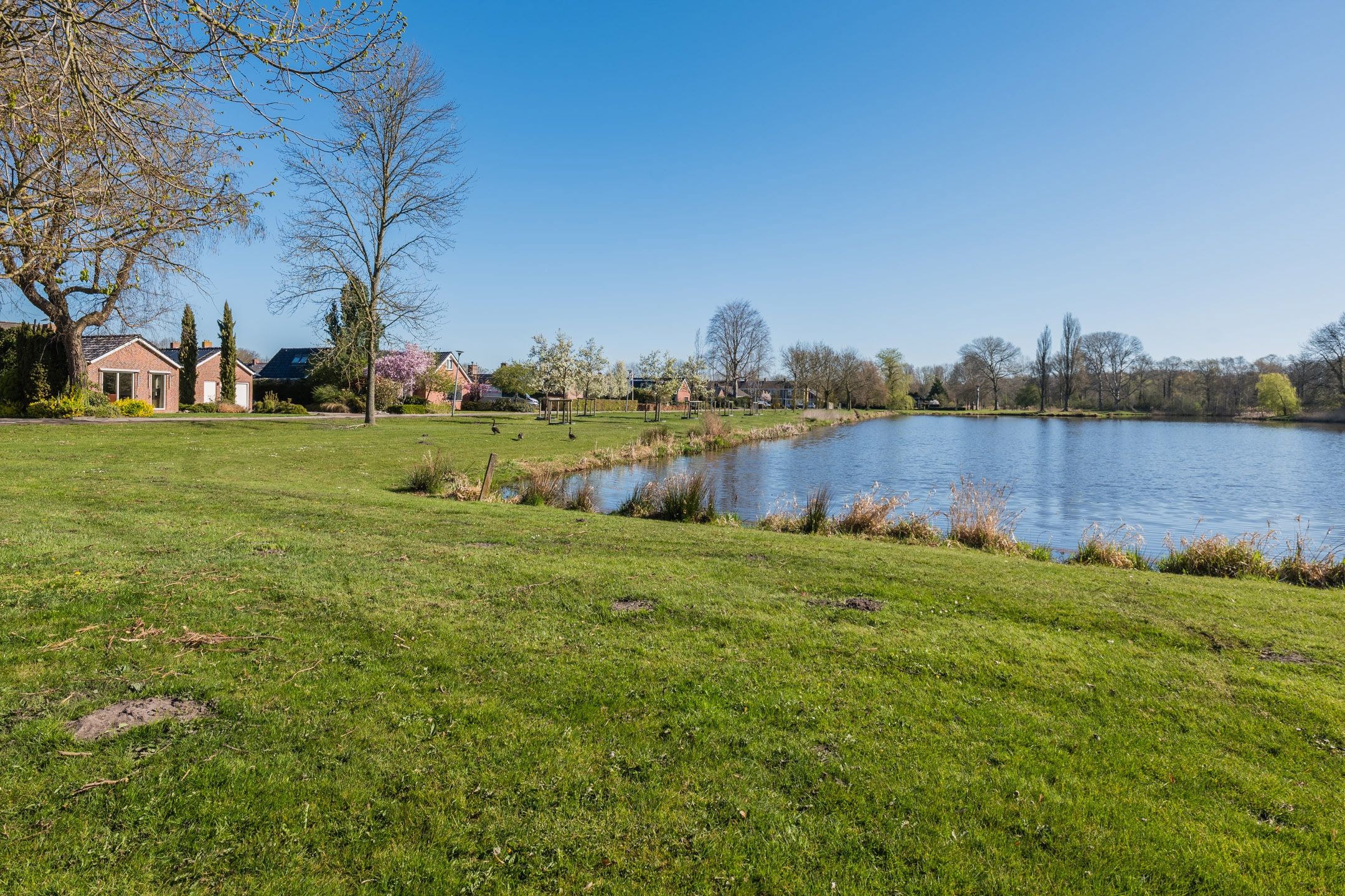 Foto 36 van G. W. Spitzenstraat 23