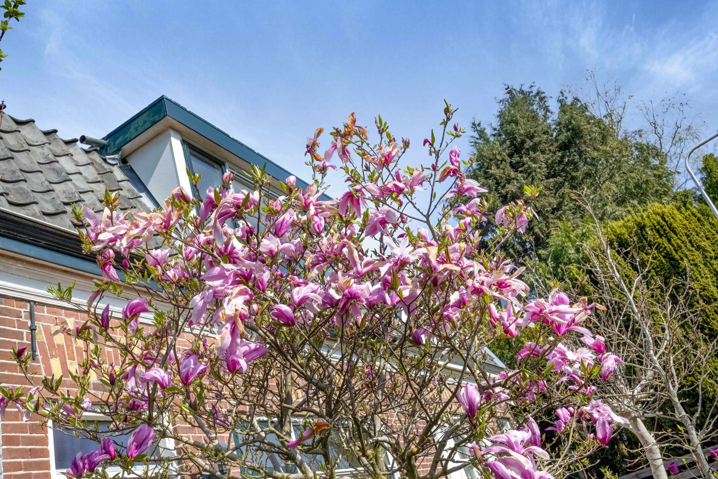 Foto 49 van Bosstraat 133