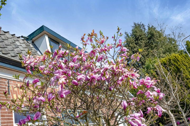 Foto 49 van Bosstraat 133