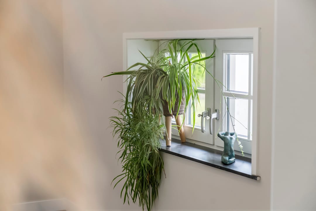 Foto 26 van Rijnbandijk 49