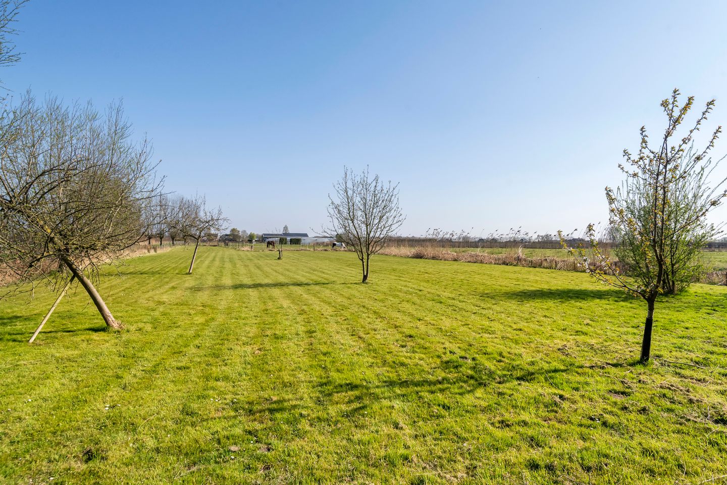 Foto 70 van Rijnbandijk 49