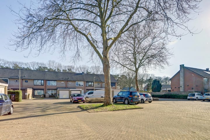 Foto 33 van Moriaansdreef 96