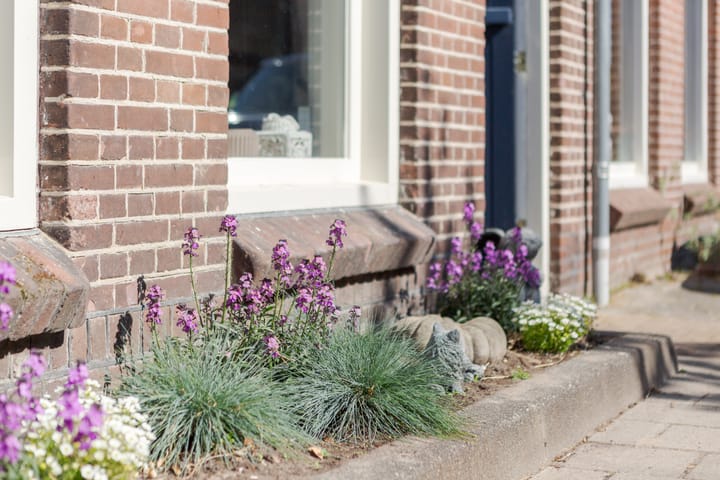 Foto 5 van Leliestraat 9