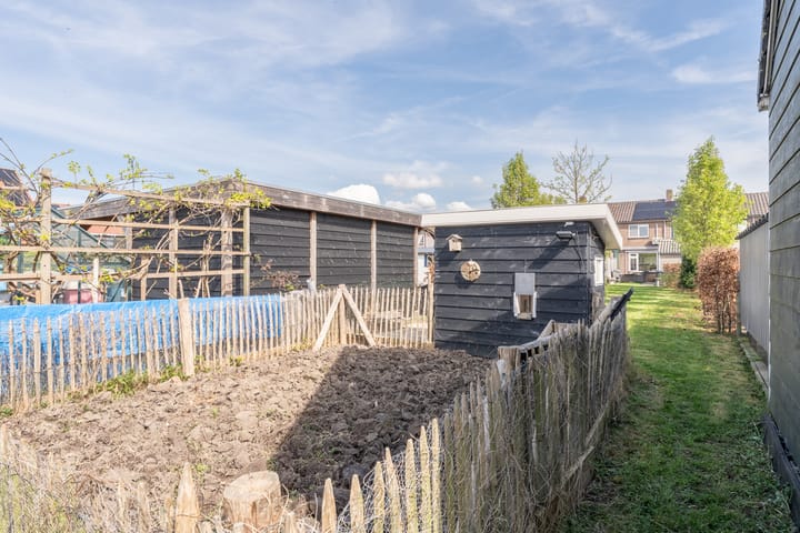 Foto 21 van Doelstraat 55