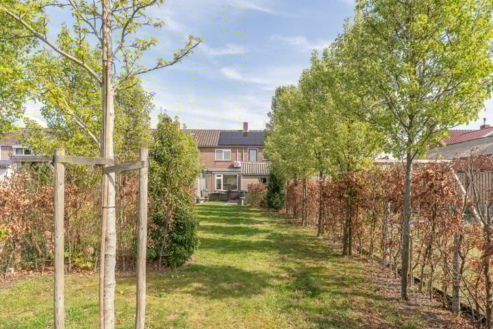 Foto 23 van Doelstraat 55