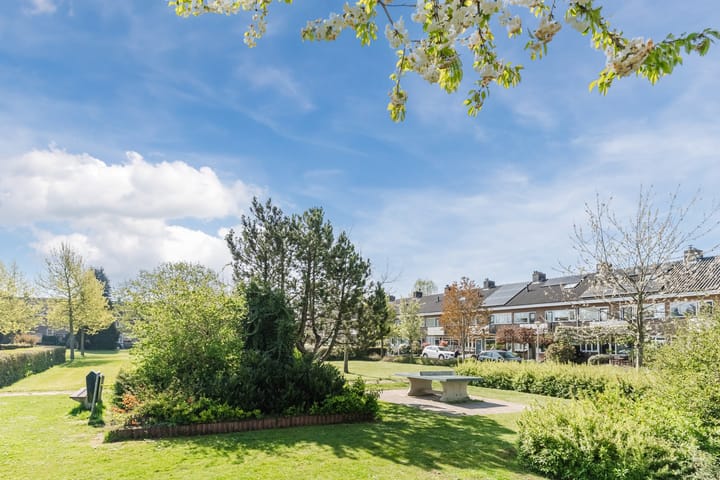 Foto 59 van Sansovinostraat 9