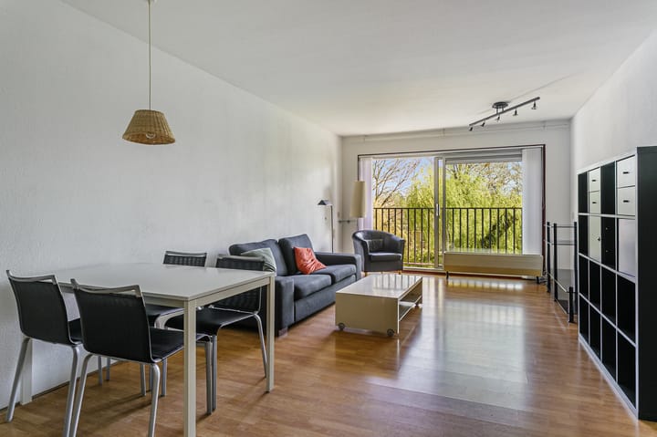 Foto 2 van Grote Beer 39