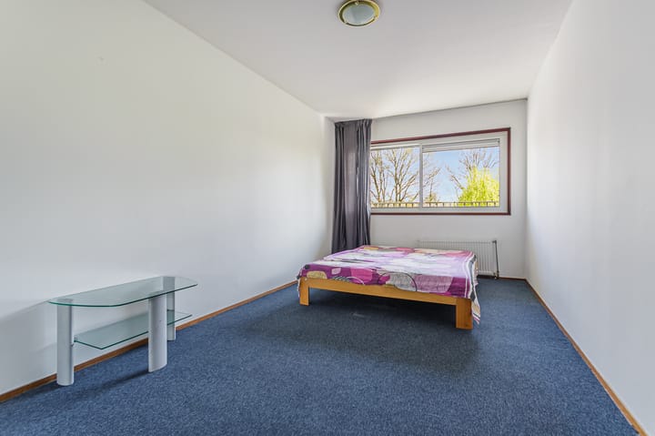 Foto 5 van Grote Beer 39