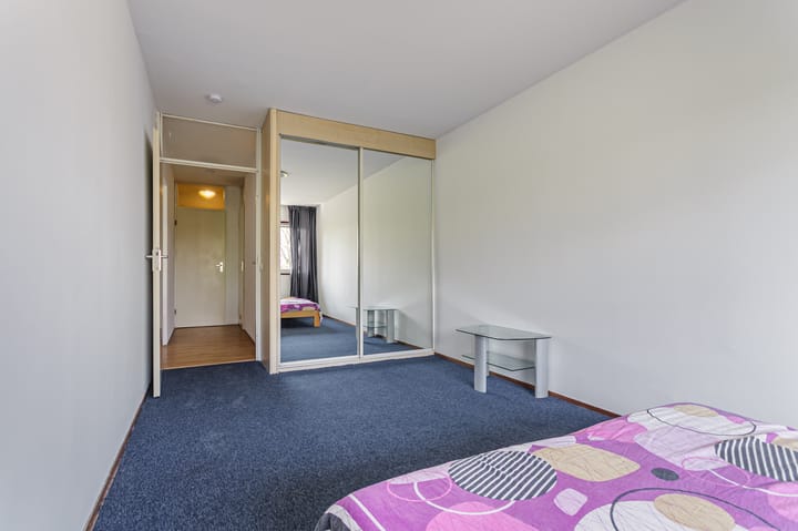 Photo 6 of Grote Beer 39