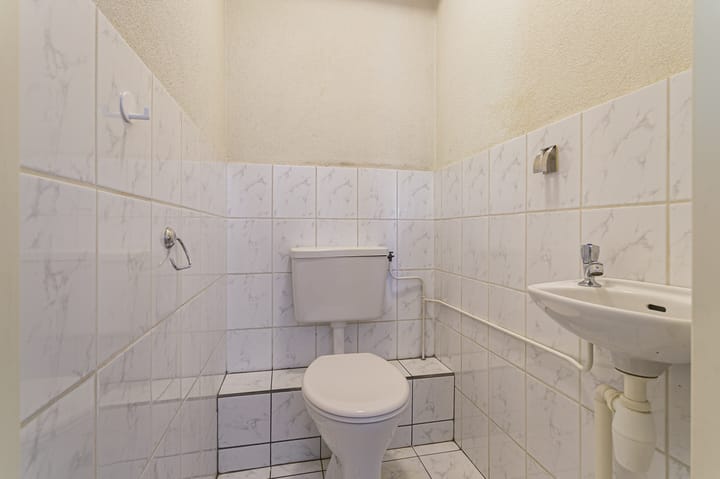 Photo 8 of Grote Beer 39