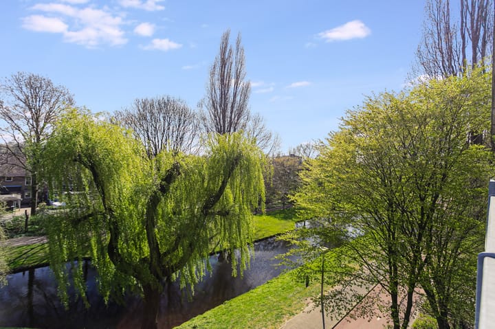 Photo 10 of Grote Beer 39