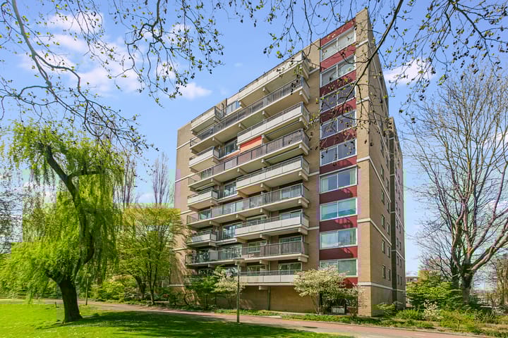 Photo 11 of Grote Beer 39