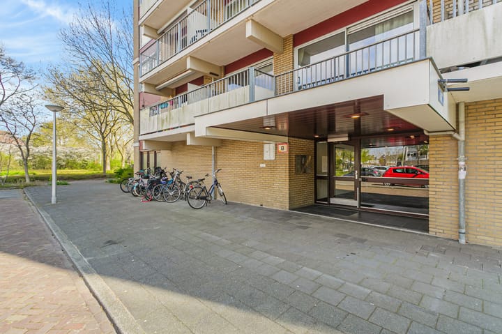 Photo 12 of Grote Beer 39