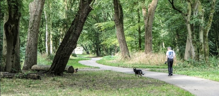 Foto 24 van Vijfde Vogelstraat 17