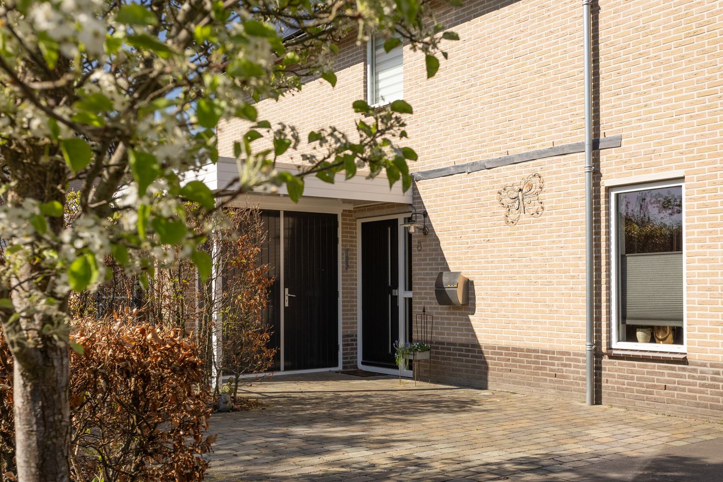 Foto 4 van Jupiter 8