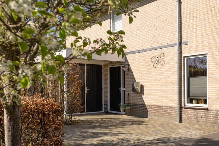 Foto 4 van Jupiter 8