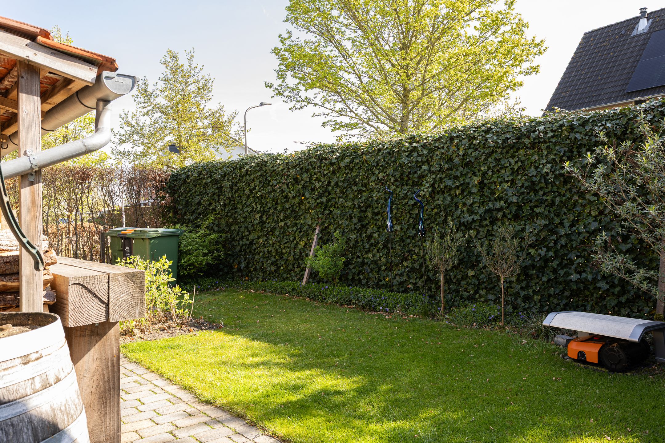 Foto 36 van Jupiter 8