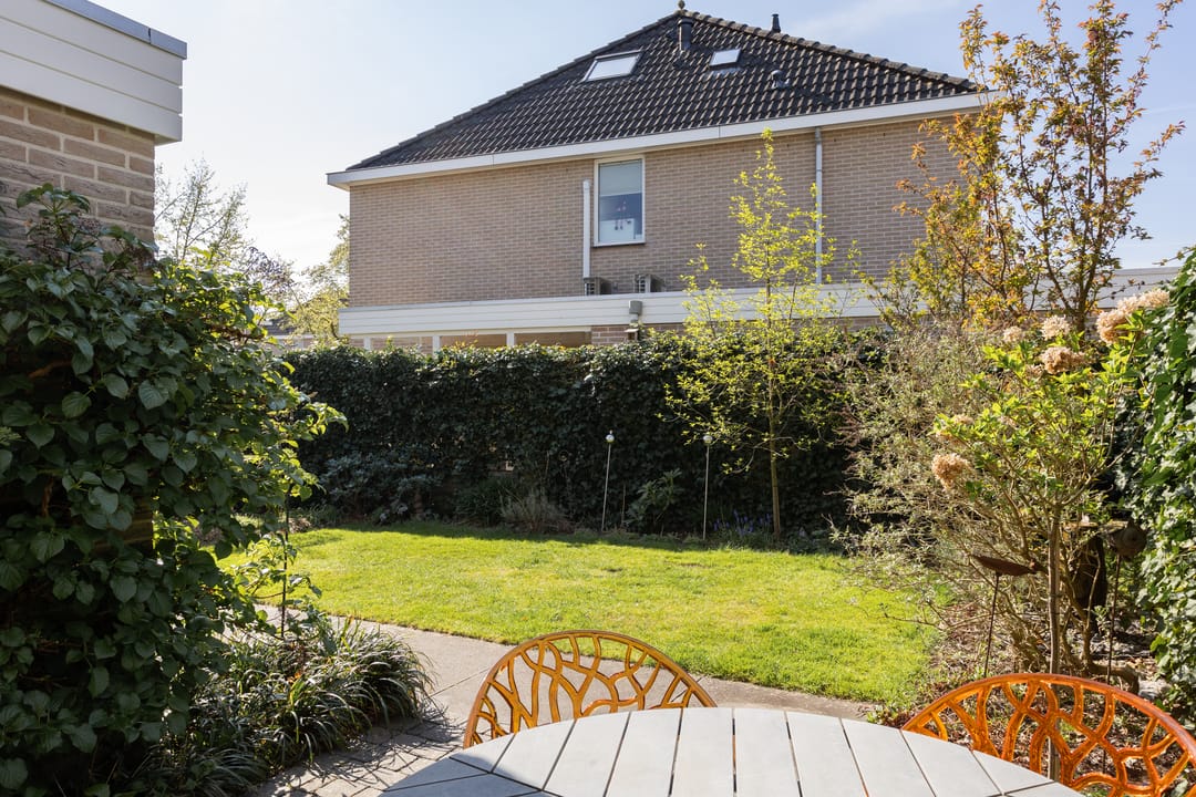 Foto 37 van Jupiter 8