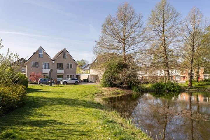 Foto 50 van Jupiter 8