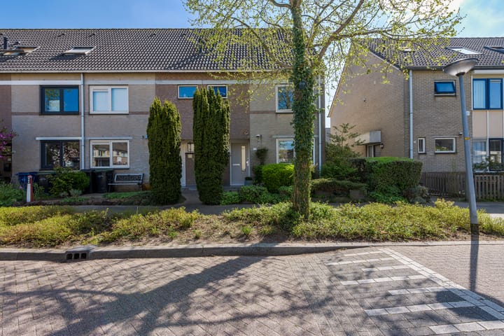 Foto 5 van Paukenstraat 41