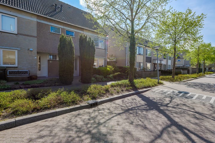 Foto 50 van Paukenstraat 41